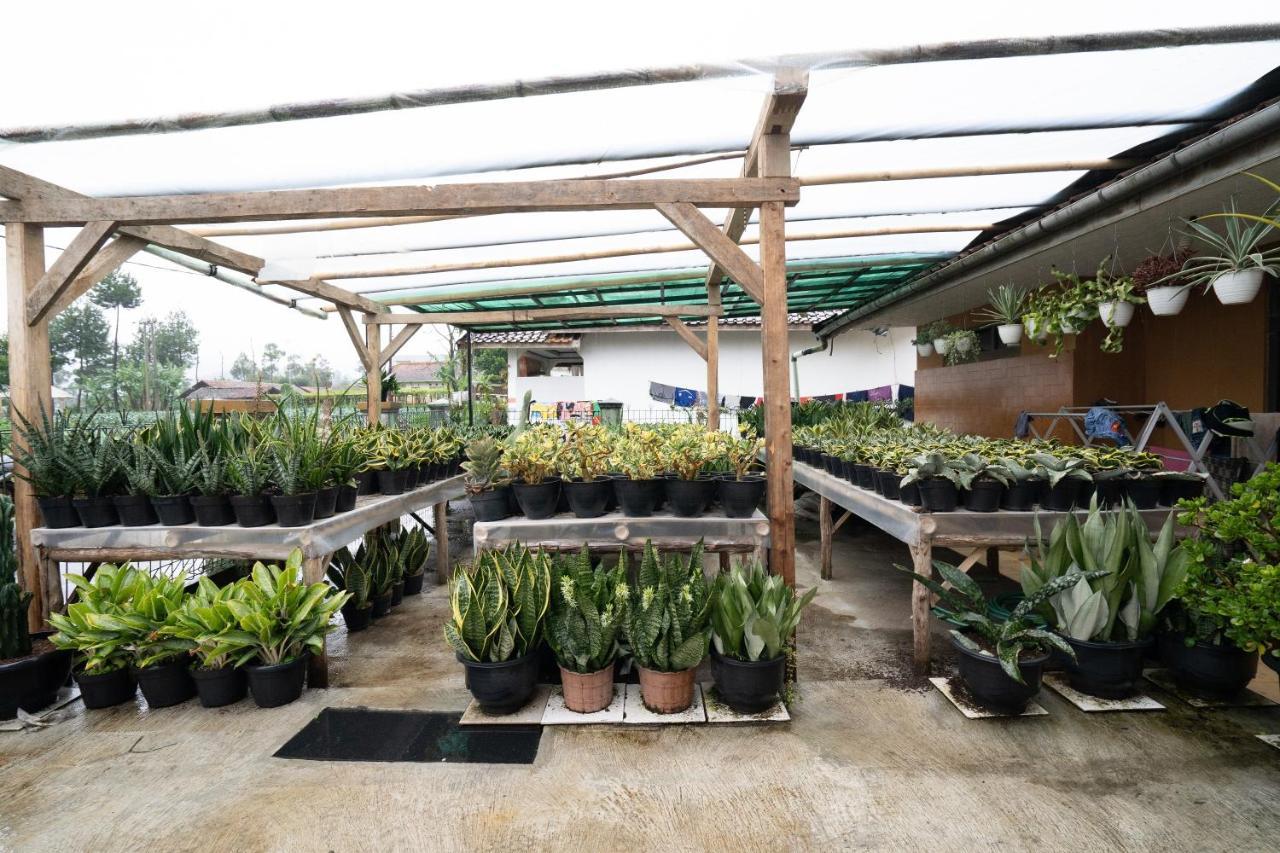 Oyo Homes 91006 Eco Tourism Desa Cibodas Areng 5 Syariah 2* Bandung
