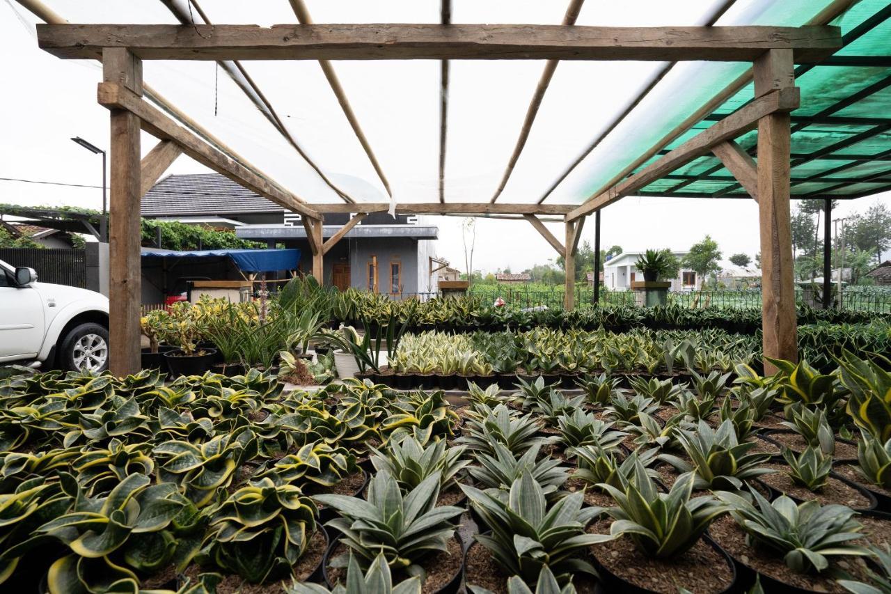 Hotel Oyo Homes 91006 Eco Tourism Desa Cibodas Areng 5 Syariah Bandung