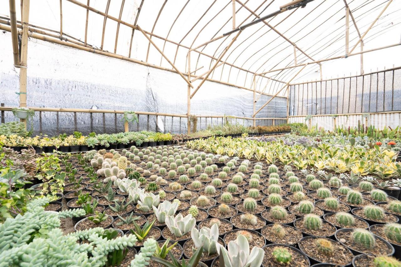 Oyo Homes 91006 Eco Tourism Desa Cibodas Areng 5 Syariah Bandung